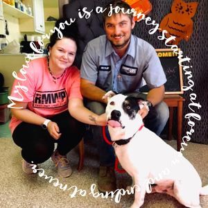 Meet your Posher, Miranda